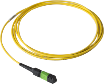 DISTRIBUTION FIBER PATCHCORD, 12 FIBER F TO F 8FT